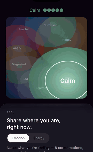 Daily Check In